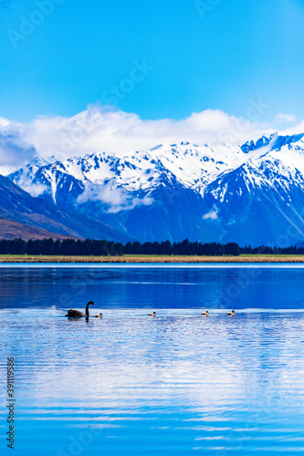 Birds swimming on a mountain lake in New Zealand