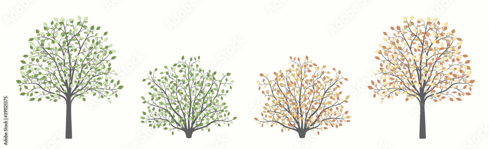Tree and shrub in two versions summer and autumn Tree and shrub in two versions summer and autumn