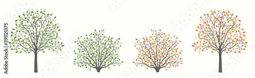 Tree and shrub in two versions summer and autumn