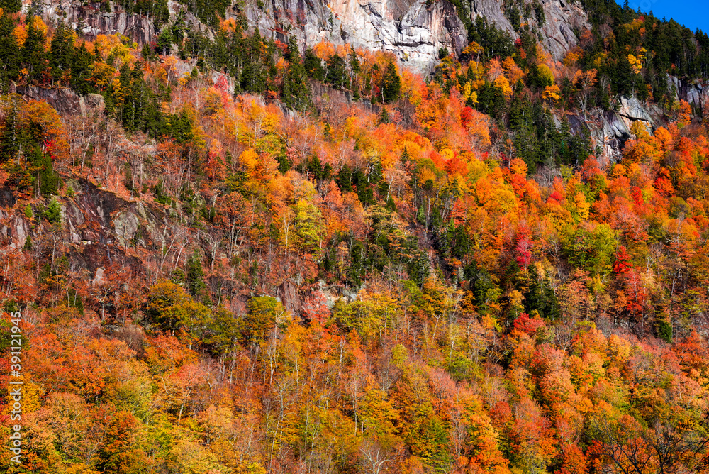 Fall color at Evan Notch in the white mountain
