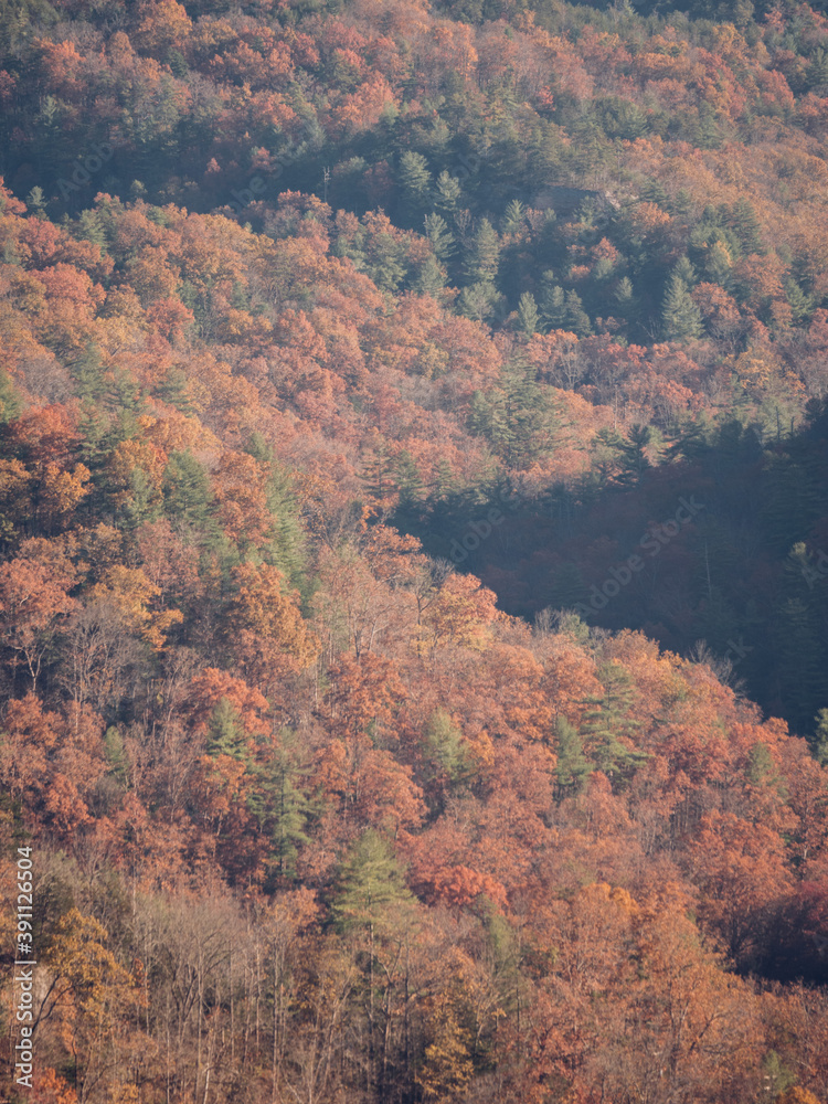 Fall Colors in the Appalachian Mountains