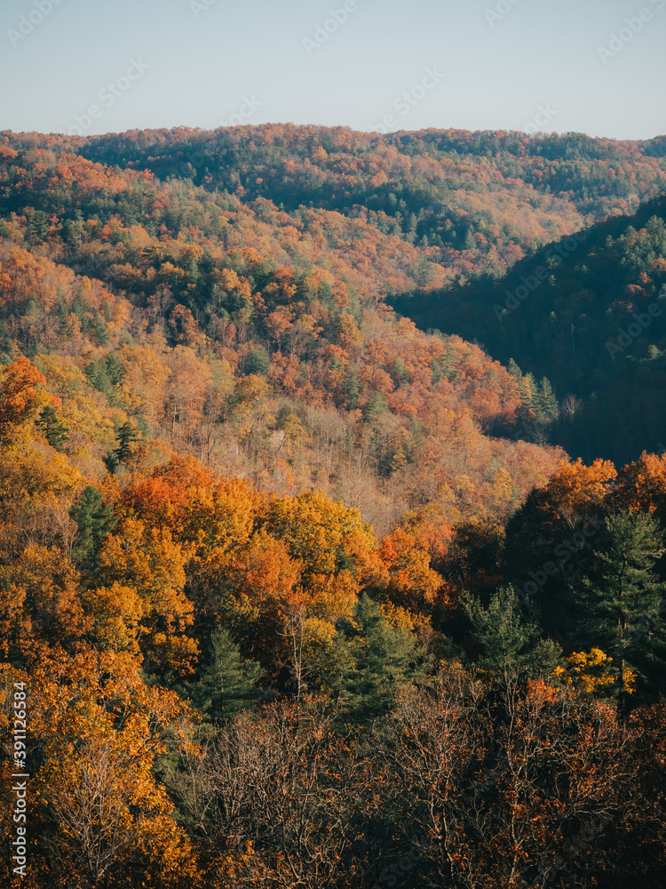 Fall Colors in the Appalachian Mountains