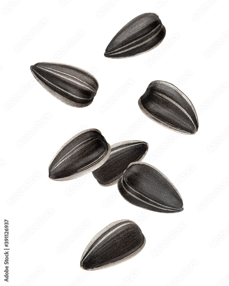 Falling sunflower seed, isolated on white background, clipping path, full depth of field Falling sunflower seed, isolated on white background, clipping path, full depth of field