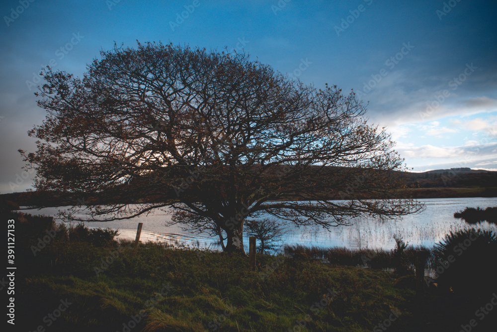 Flooded Lough Allua lake at sunset. southwest ireland. A lake lying on the river Lee which flows into Cork.
Flooded Lough Allua lake at sunset. southwest ireland. A lake lying on the river Lee which flows into Cork.