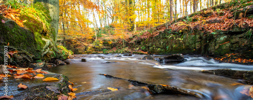 Autumn in Macclesfield Forest