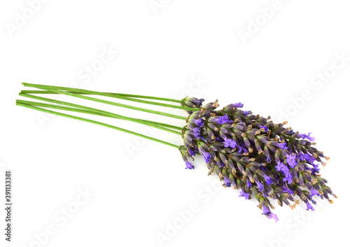 Lavender  Lavandula Angustifolia  Flower. Isolated on White Background.