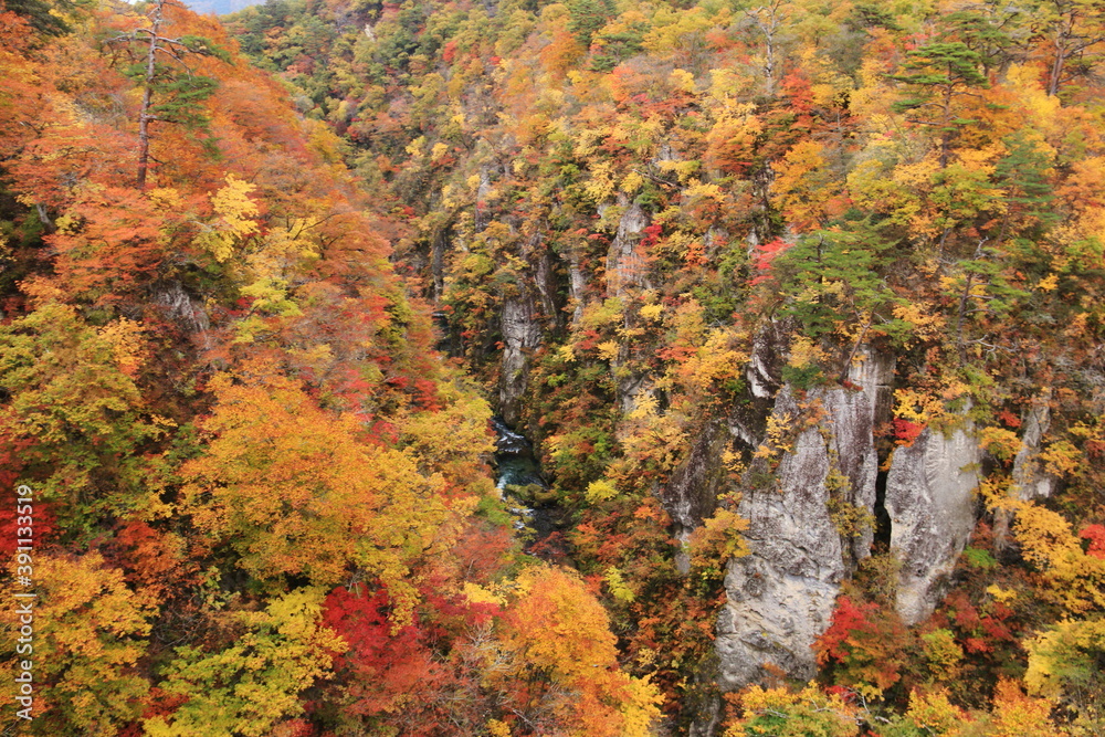 みちのく宮城の秋 鳴子峡の紅葉 みちのく宮城の秋 鳴子峡の紅葉