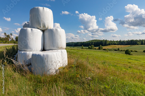 Wrapped haylage bales photo