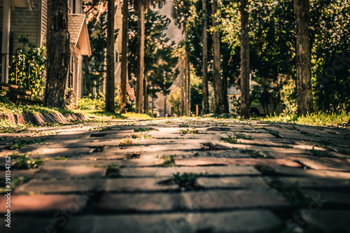 Low Angle of Cobblestone Street Lined with Trees and Houses