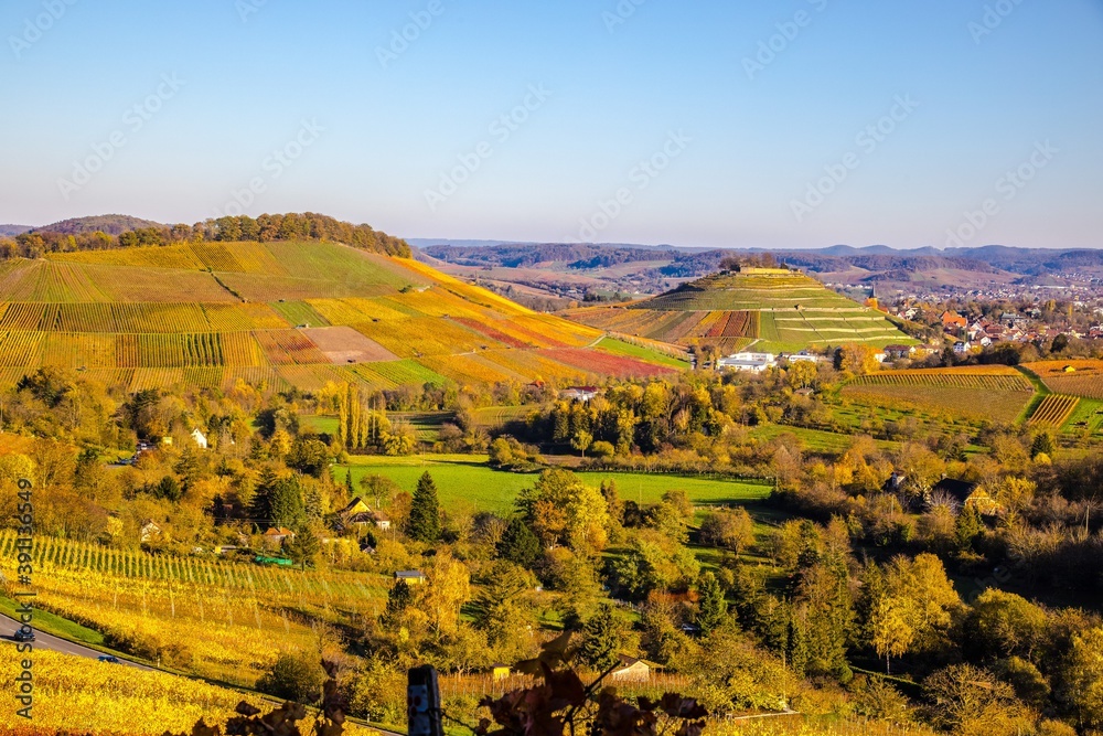 Obraz premium Vineyards in Autumn, View from the Wartberg, Heilbronn, Baden-Württemberg, Germany, Europe