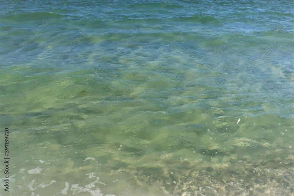 Small green waves near the shore of the ocean, the bottom is clearly visible through the clear water, close shooting Small green waves near the shore of the ocean, the bottom is clearly visible through the clear water, close shooting