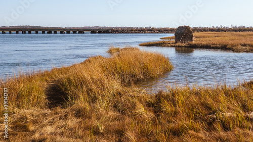 Scarborough Marsh 7
