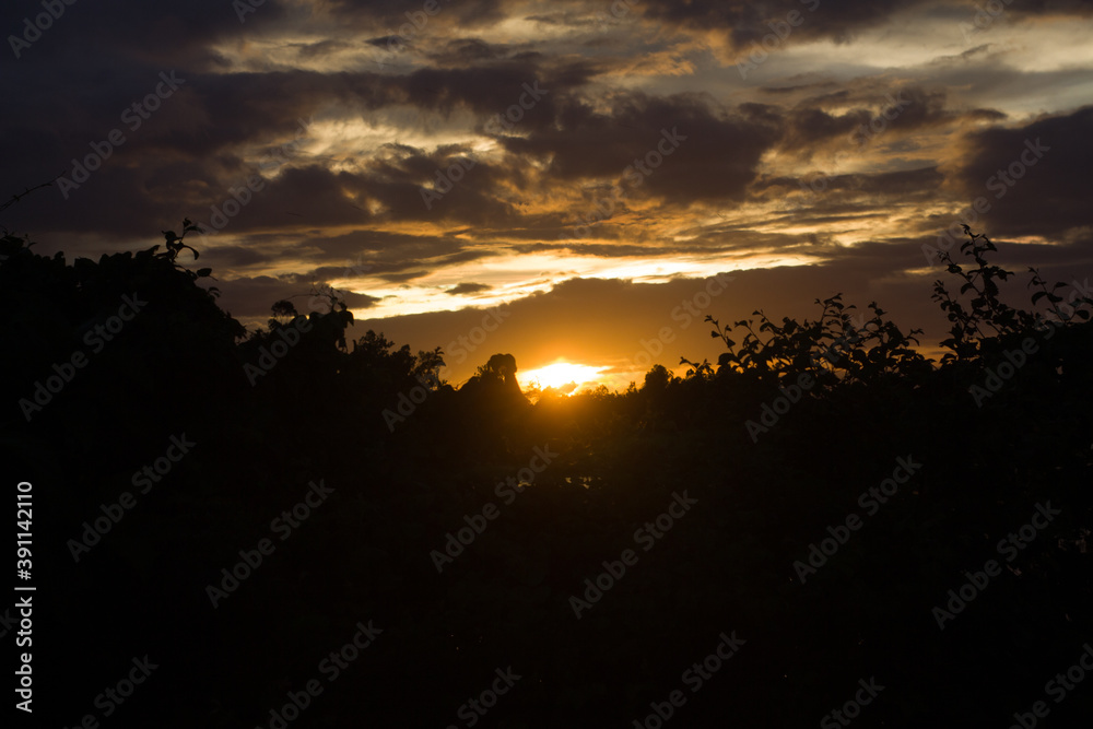 custom made wallpaper toronto digitalA rainy day sunset view with a part of sun and sunlight