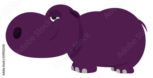 Purple hippo ,illustration,vector on white background