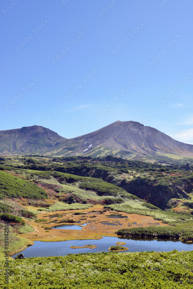 Fototapeta premium 秋の沼と旭岳(北海道・大雪山)