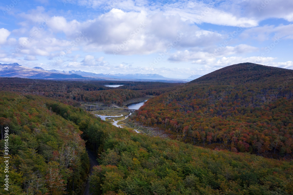 Vista aerea del bosque y montañas en otoño. Tierra de escape.