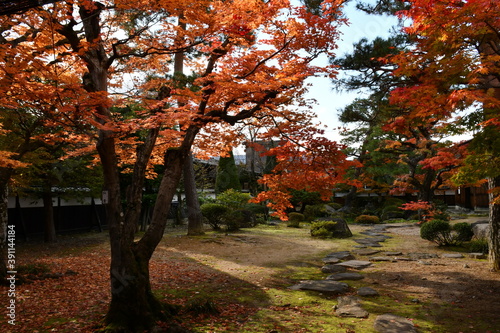                       HIDA TAKAYAMA   