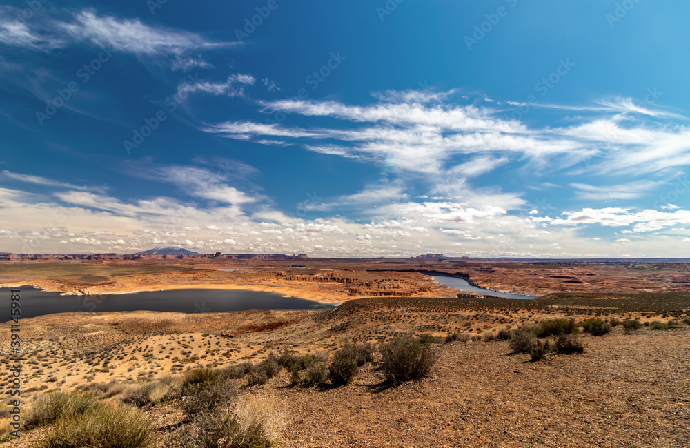 The desert vegetation in focus with the backdrop of the Colorado river fork, Wahweap lookout, Page, AZ The desert vegetation in focus with the backdrop of the Colorado river fork, Wahweap lookout, Page, AZ