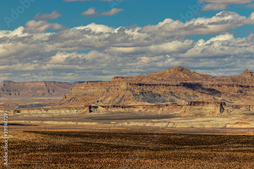 Konstfotografi Desert vegetation resembles oil spill near Page, AZ