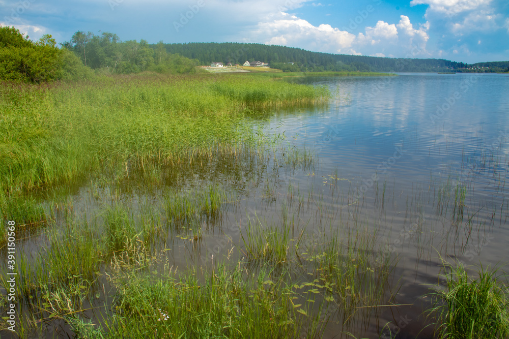 beautiful landscape with natural pond, river, lake, plants, houses in the background and blue sky with clouds