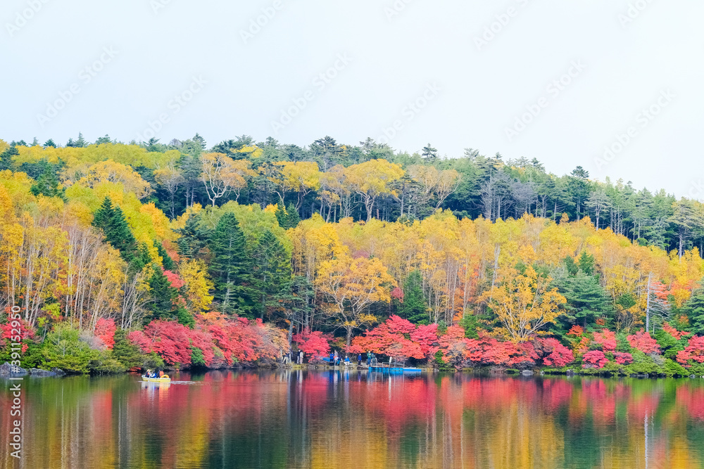 白駒池の紅葉 白駒池の紅葉