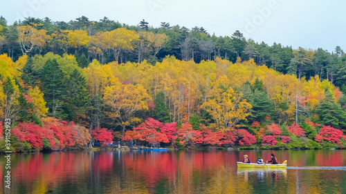 白駒池の紅葉 © shun.cap