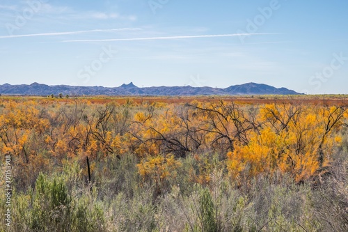An overlooking view of nature in Yuma, Arizona