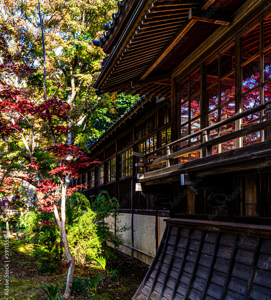Fototapeta premium 窓に映る紅葉〜本土寺