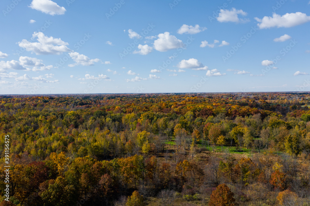 Aerial Drone Photo Looking Down on an Autumn Forest with Multi Colored Fall Trees in the Midwest_33