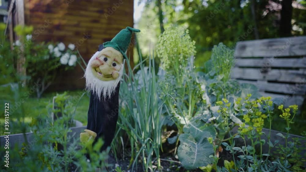 Leprechaun in organic garden Leprechaun in organic garden