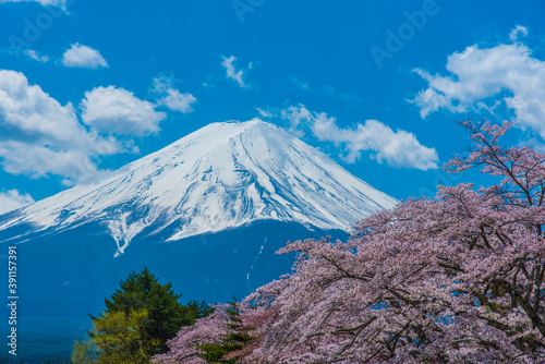 桜と富士山と河口湖