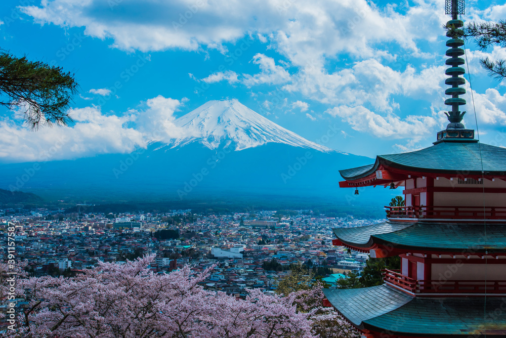 Fototapeta 桜咲く富士山と新倉山浅間神社五重塔