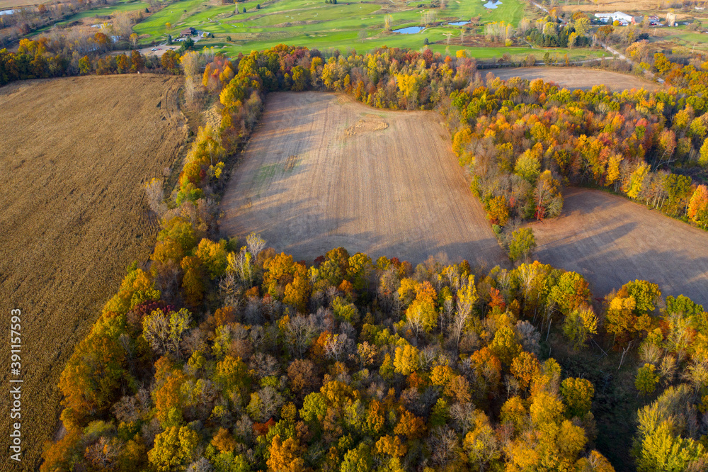 Aerial Drone Photo Looking Down on an Autumn Forest with Multi Colored Fall Trees in the Midwest_06