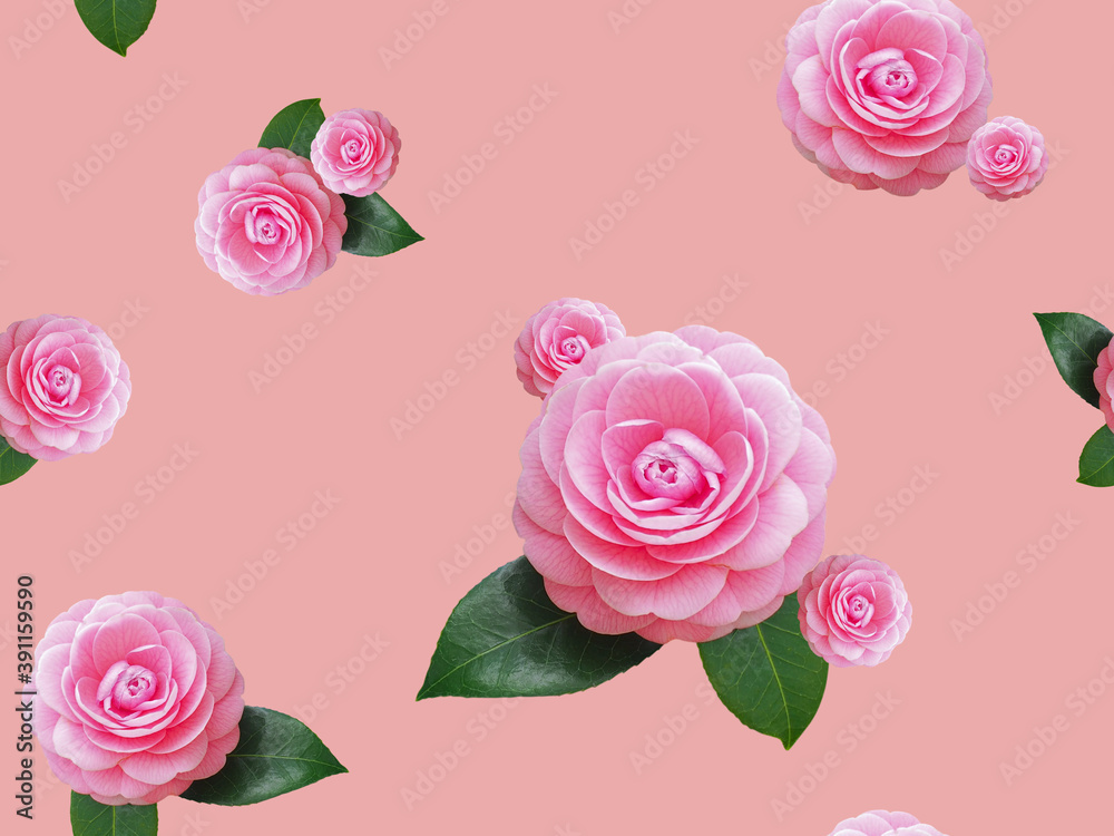 Floral pattern on seamless. Flower bouquet. Roses with pink background.