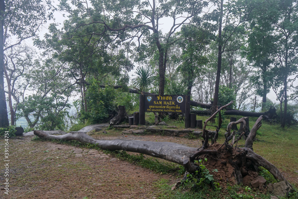 Phu Kradueng Loei / Thailand - October 31 2020: landscape of hill top at Sam Haek for trekking in holidays
