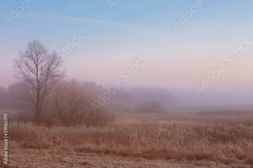 beautiful winter landscape with fog and frost © Maya Kruchancova