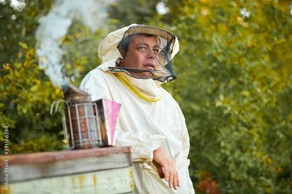 caucasian man beekeeper working in apiary, using bee smoker, nature ...