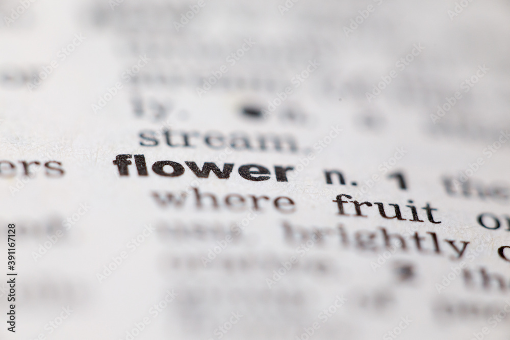 Macro close up of old English dictionary page with word flower Macro close up of old English dictionary page with word flower