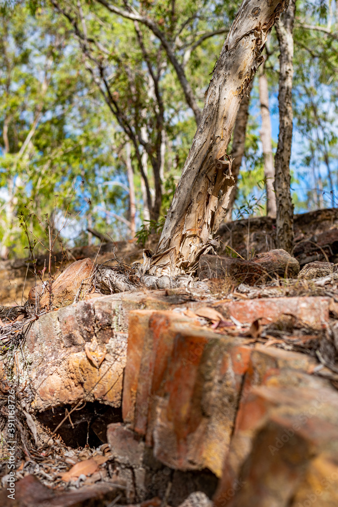 Bricks up close with tree behind in Glassford