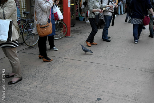 people walking in the city