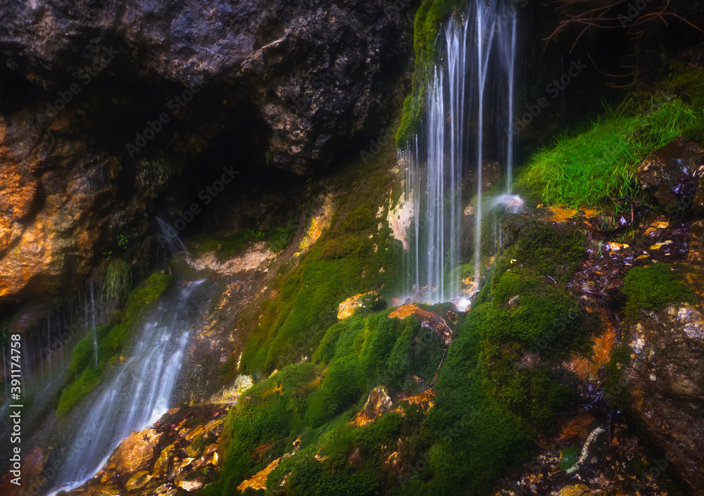 Fototapeta premium waterfall in the forest