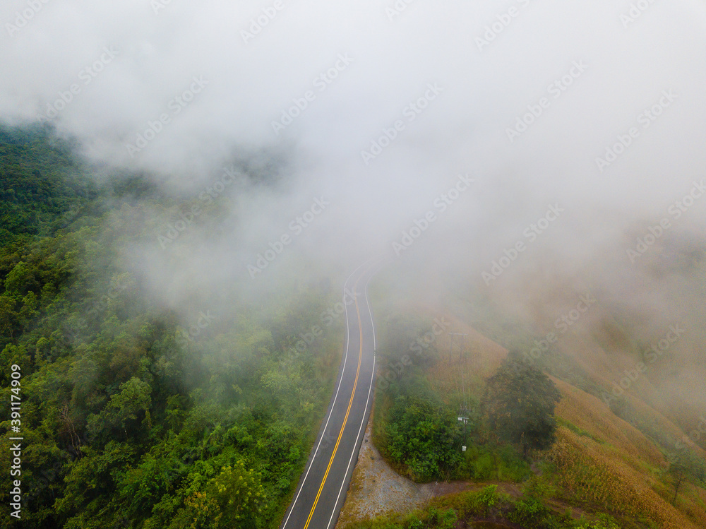 Aerial view of road In beautiful green forest and low clouds