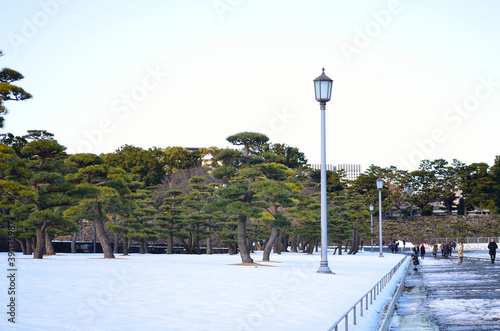 雪の皇居前広場