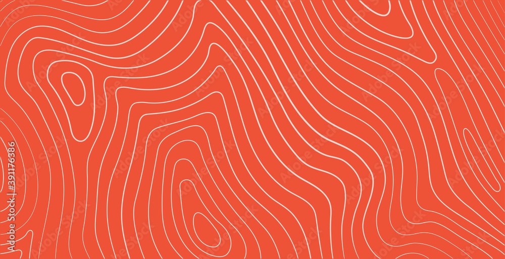 Salmon fillet texture, fish pattern. Vector background with stripes salmon