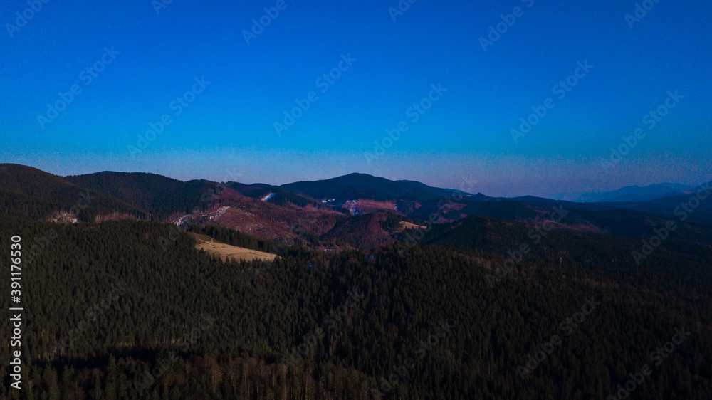 Carpathian mountains landscape pine forest needles aerial photography.
