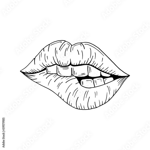 Lips sketch. Vector illustration mouth, teeth bite lips. Hand-drawn, isolated on white