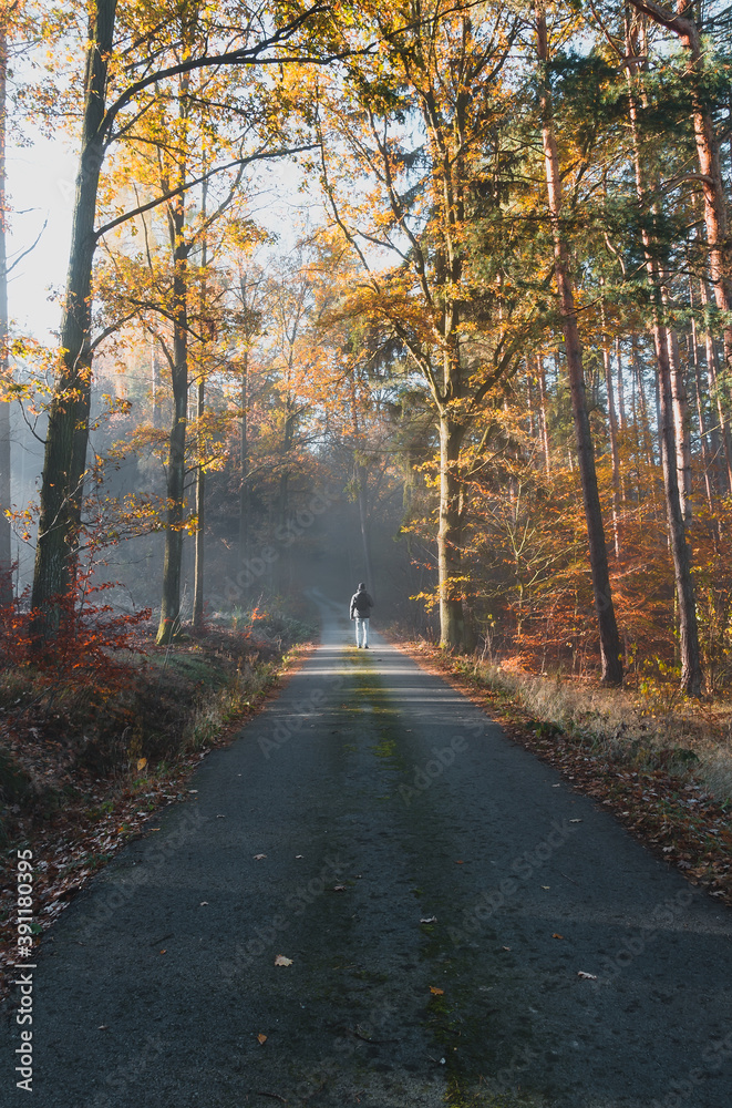 Young man walking on road in misty morning fog autumn forest . Czech landscape