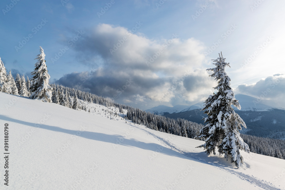 Sunny winter day in the mountains Sunny winter day in the mountains