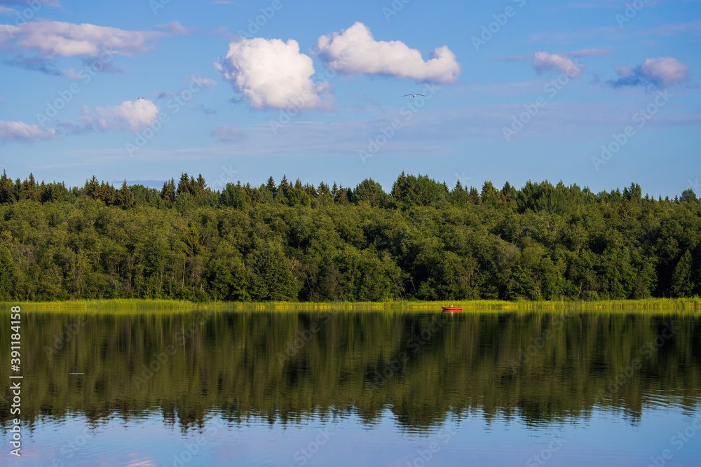 View of the lake and forest. Beautiful summer landscape. Red boat in the distance. Outdoor recreation and fishing on the lake. Travel and vacation in the countryside.