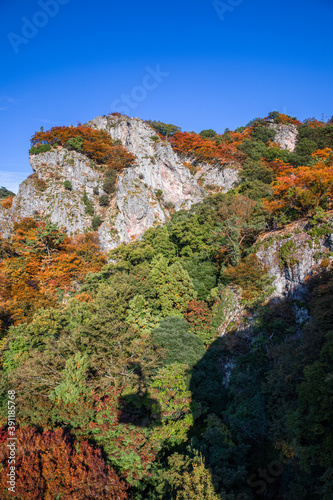 寒霞渓